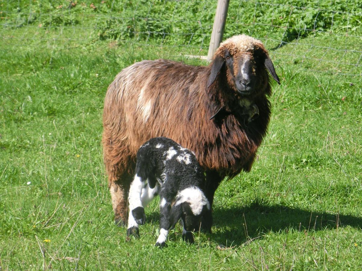 Landgasthof Berg Eurasburg Zewnętrze zdjęcie